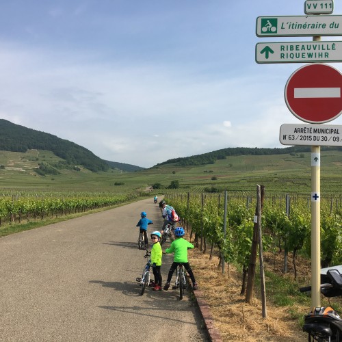 Route des Vins & Vosges 